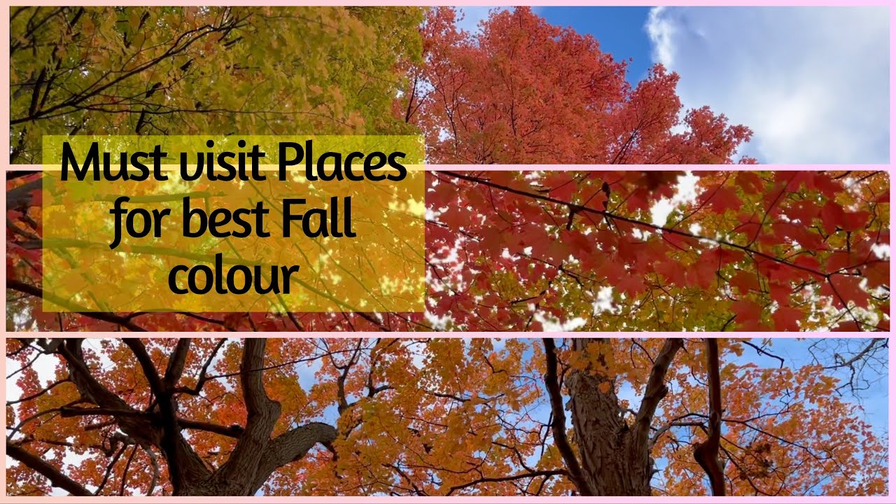 5 Best places to see the fall color in Ontario 