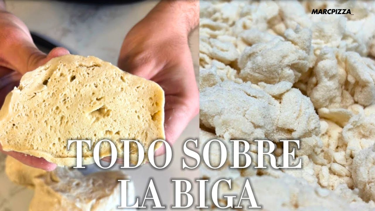 Todo sobre la Biga: Eleva tu Pizza al Siguiente Nivel