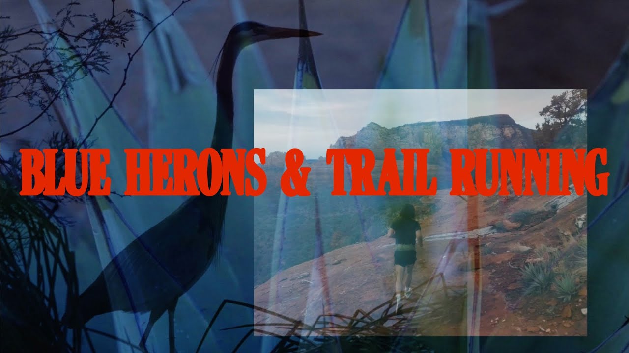 Blue Herons // Sedona AZ // Hangover Trail