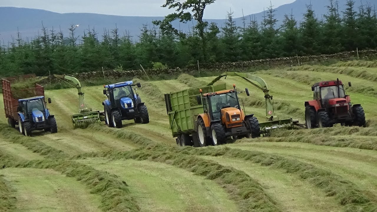 Cumbrian Silage - Lifting Grass with TWO Trailed Class 62s & NHs, MFs, Case & Renault - Silage 2019