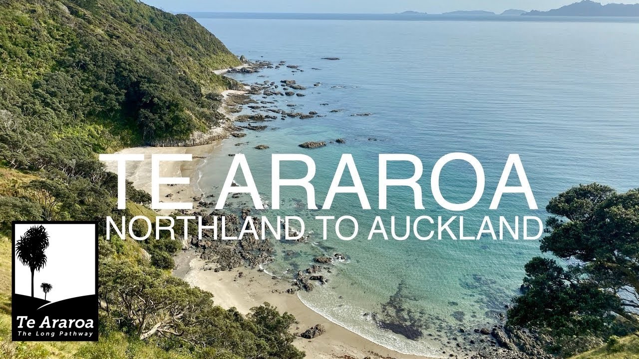 Te Araroa 5: Northland to Auckland