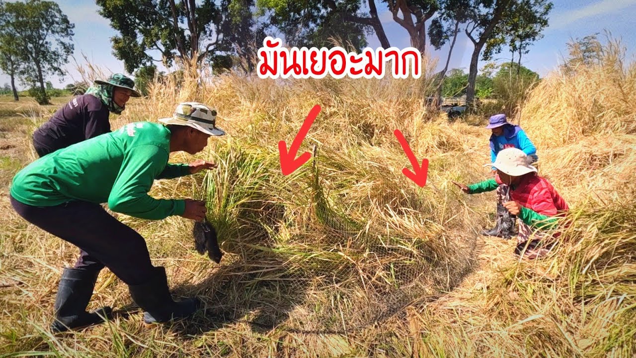 จับตัวไหนก่อนดีมันเยอะมาก ล่าอาหารป่าหมายนี้ในรอบ 2 เดือน