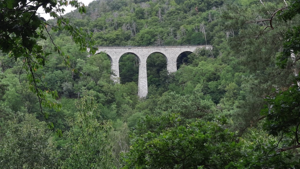 POSAZAVSKÁ STEZKA TRIP 2024 (Petrov - Kamenný Přívoz)