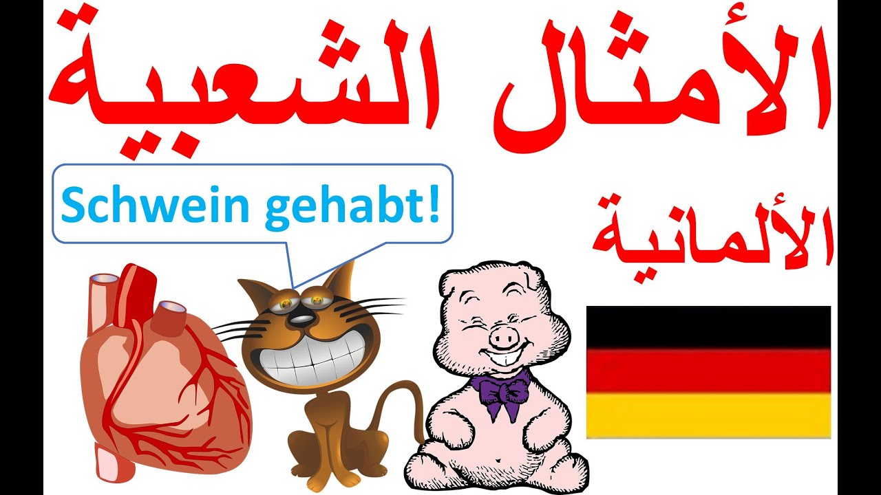 خنازير،قطط وأجزاء الجسم: الأمثال الشعبية الألمانية Sprichwörter & Redewendungen auf arabisch erklärt