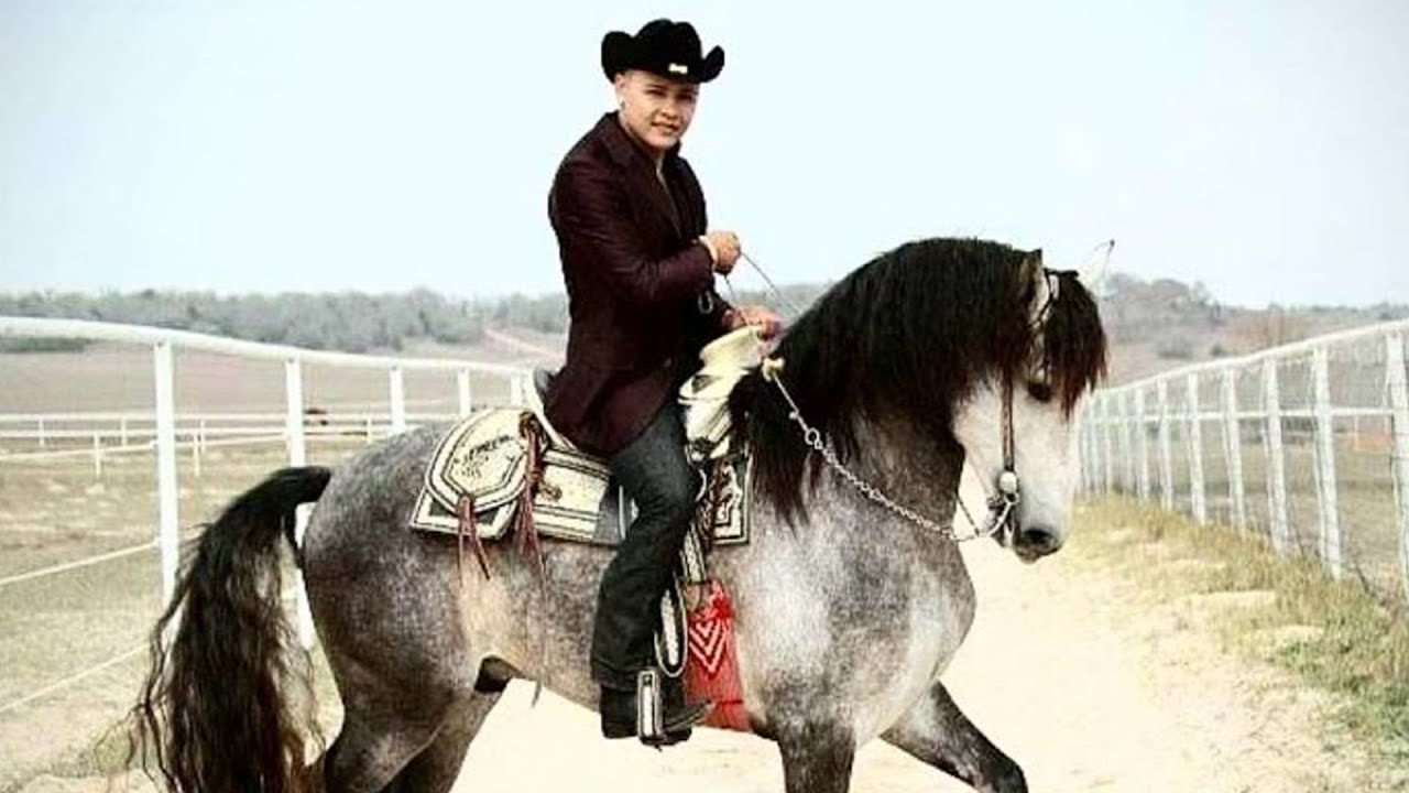 Hugo Cesar - Corrido De Efren Gonzalez [Official Audio]