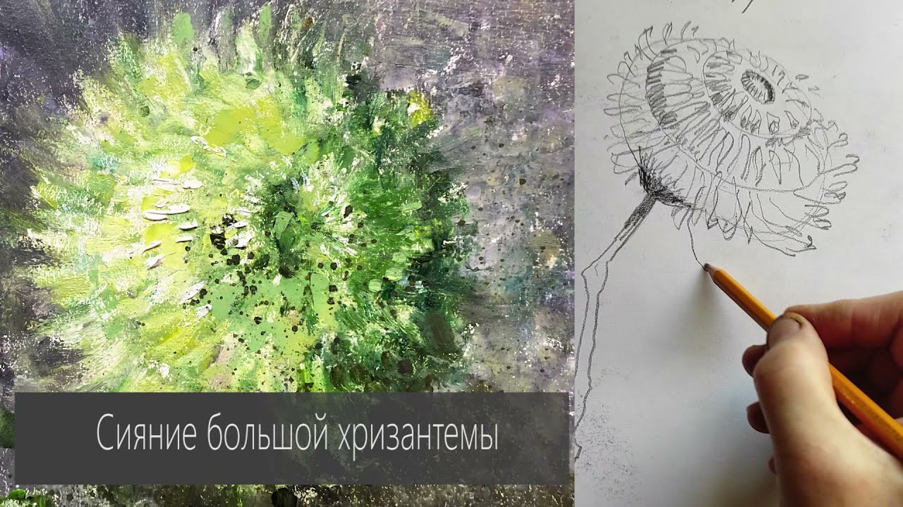 Что нужно знать, чтобы нарисовать Хризантему? Подробный разбор цветка от Елены Ильичевой
