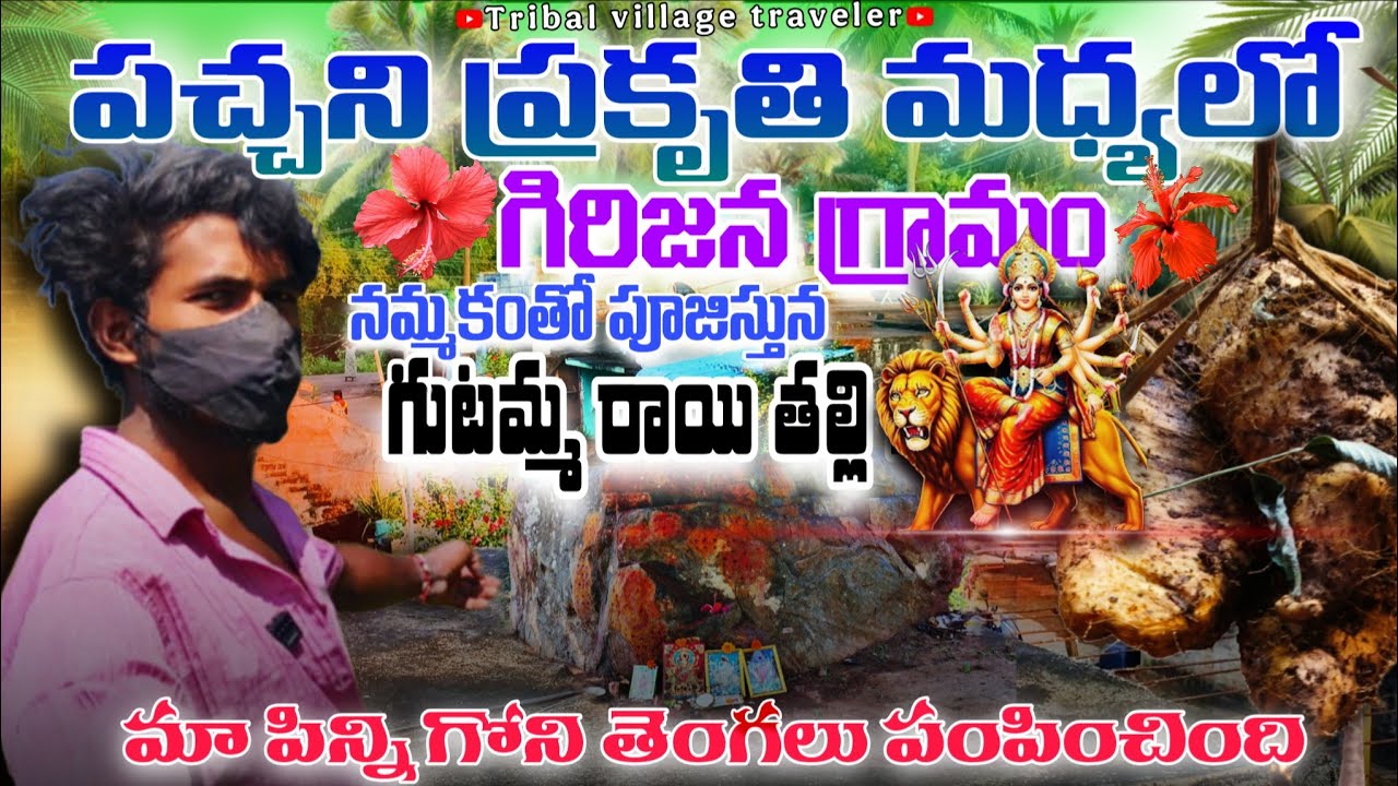 పచ్చని ప్రకృతి మధ్యలో అందమైన గిరిజన గ్రామం #tribalvillage #baeutifulvillage tribalvillagetravelar