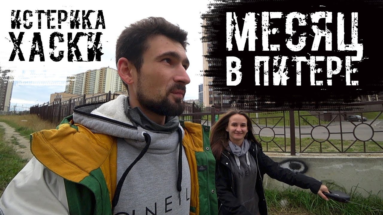 Месяц жизни в Питере- впечатления. Истерика хаски Капеллы- одна в чужой квартире