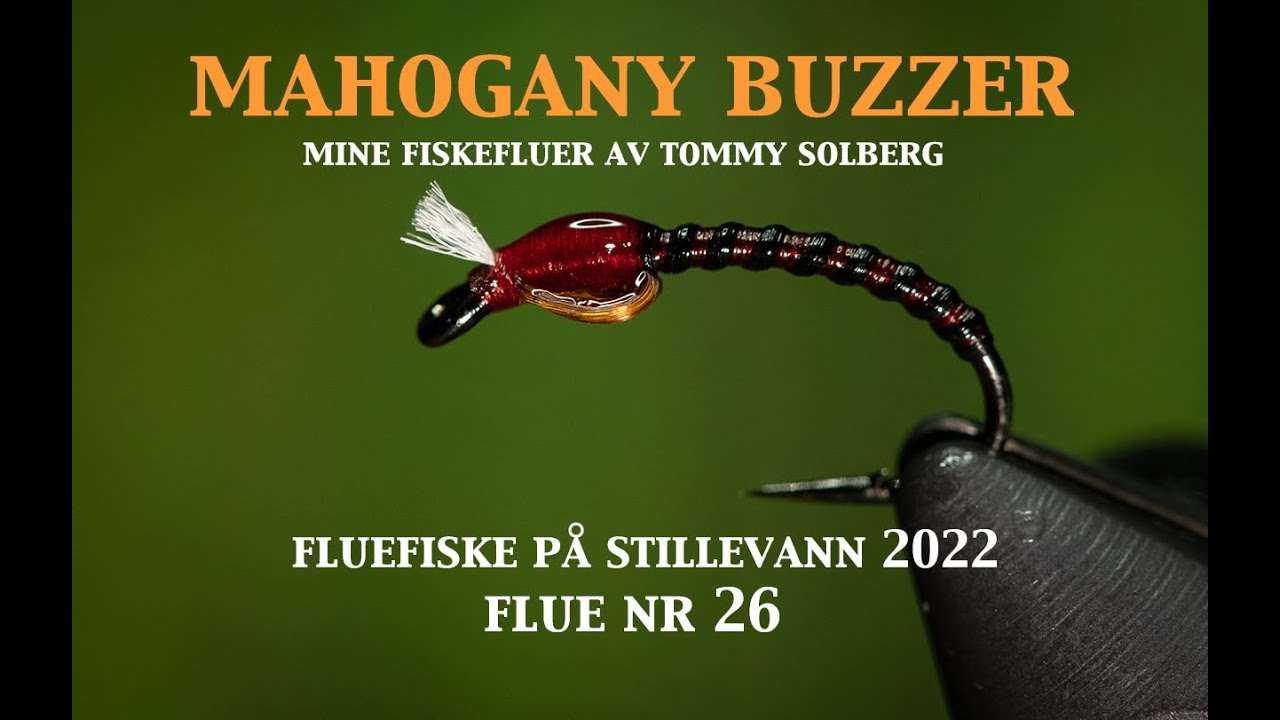 Mahogany Buzzer. Mine fiskefluer og fluefiske på stillevann