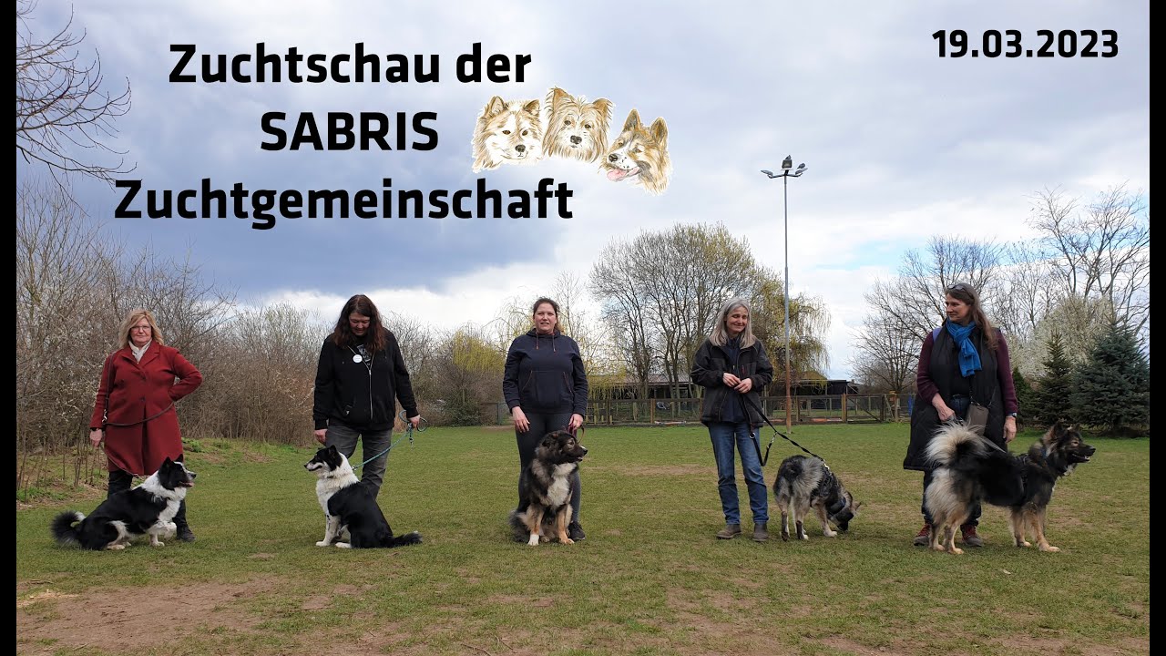 März 2023   Sabris Zuchtschau