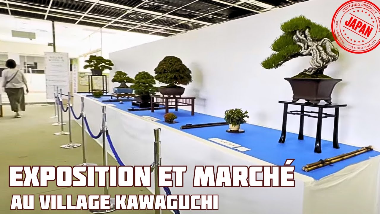 On Visite L' Exposition et le Marché du Bonsaï au Village KAWAGUCHI 🌱 NEJIKAN BONSAI 🌱