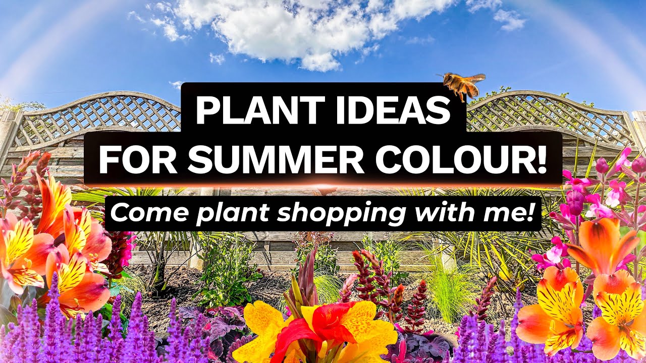 Summer Filler Plant Shopping & Planting My New Raised Bed