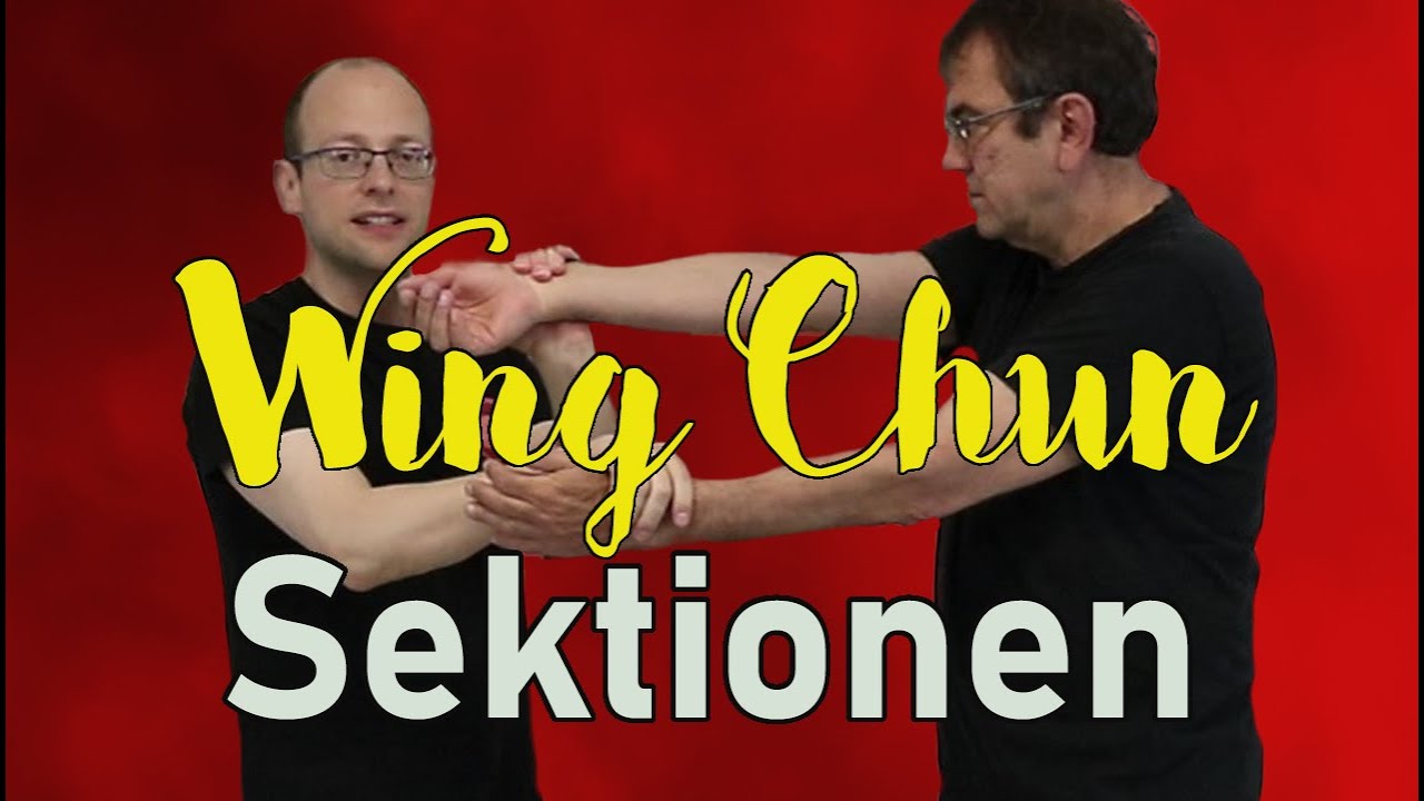 Wing Chun Sektionen werden meistens falsch trainiert!