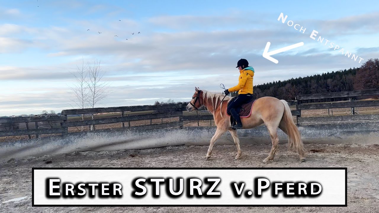 Erster Sturz vom Pferd 😱 | Folge 22 Haflinger Sternschnuppe