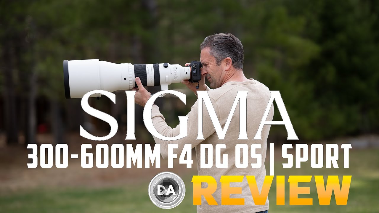 Sigma 300-600mm F4 DG OS SPORT Review | An Expensive Bargain