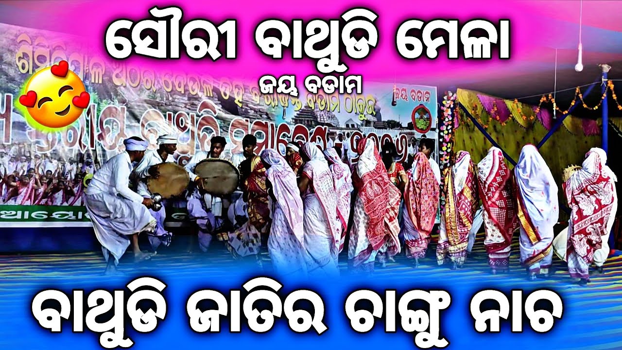ବାଥୁଡି ଜନଜାତିର ଚାଙ୍ଗୁ ନାଚ || Bathudi tribe changu dance #odishatribaldance #kanhuofficialvlogs_ 