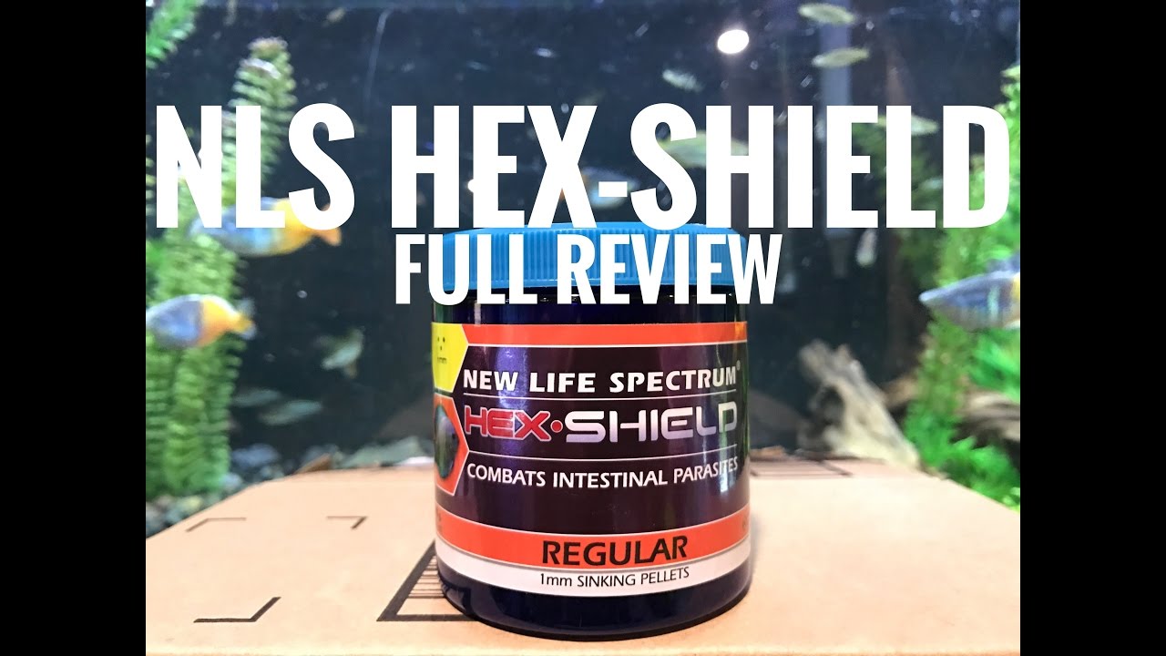 New Life Spectrum Hex-Shield Full Review in 4K