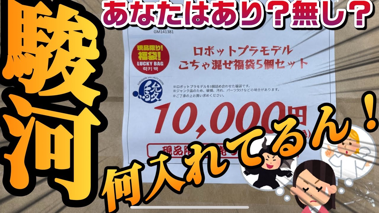 駿河屋一万円分福袋！良いの！？悪いの！？