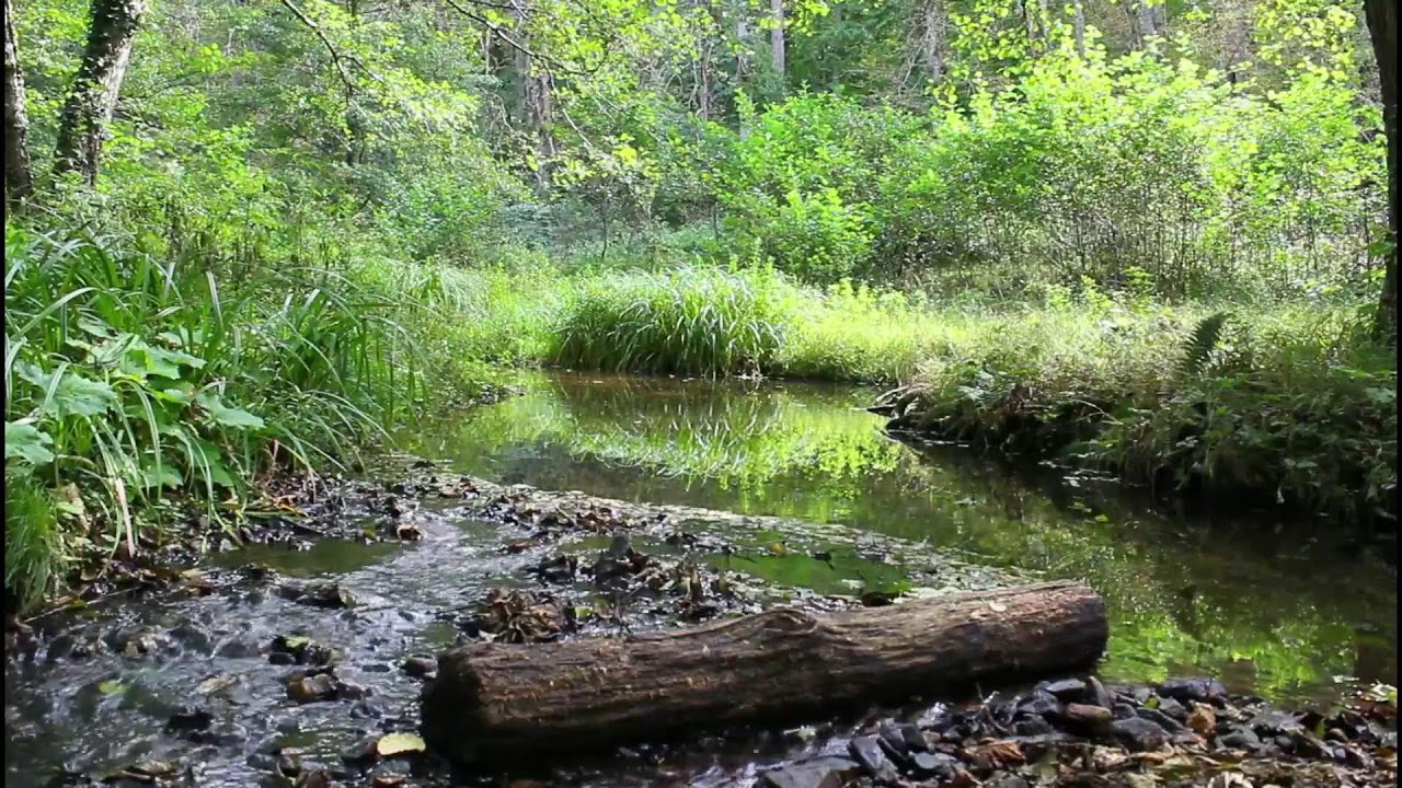 Relaxing Music