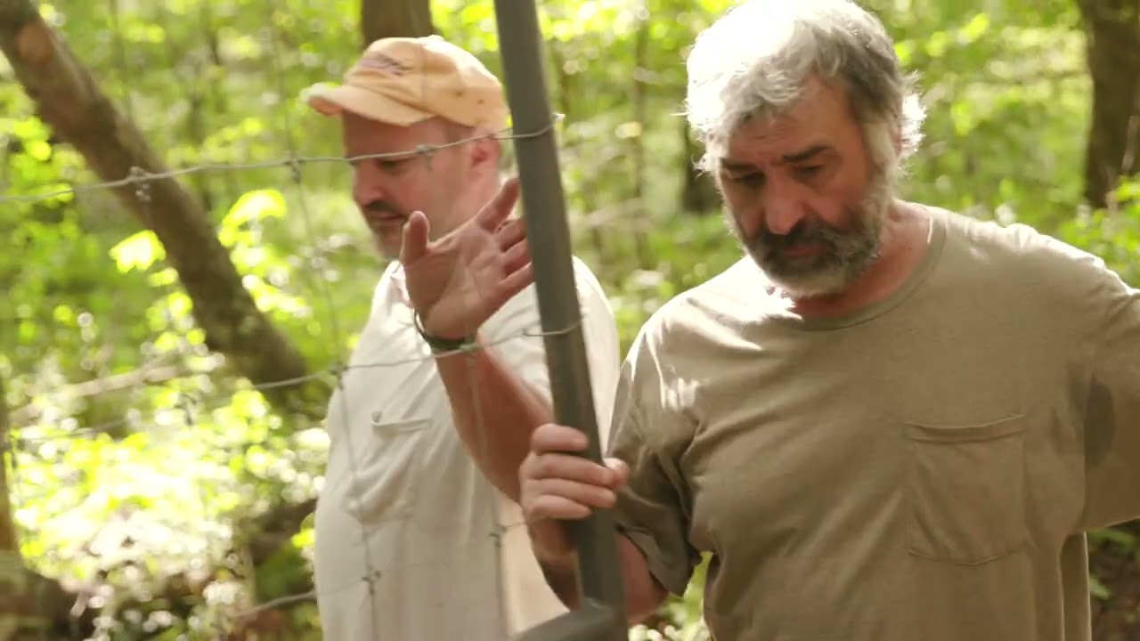 American Ginseng: Cliff & Randy