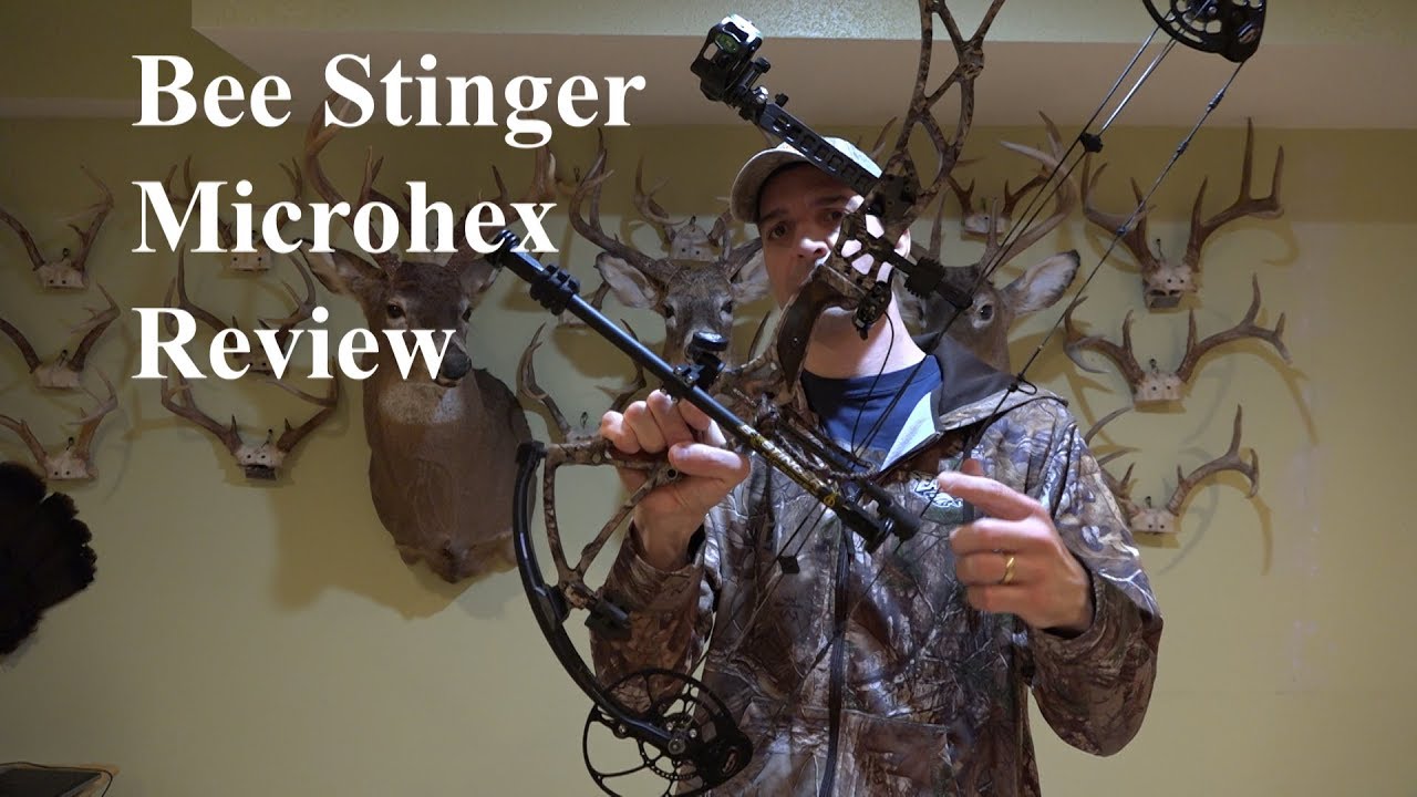 Обзор Bee Stinger Microhex