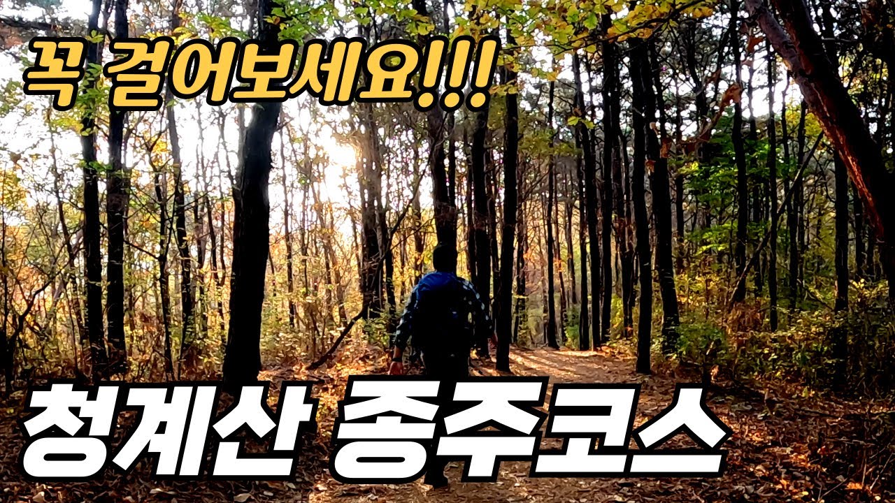 청계산도 이런 멋진 코스가 있습니다 _ 이 코스 꼭 한번 걸어보세요 _ 만족하실 겁니다