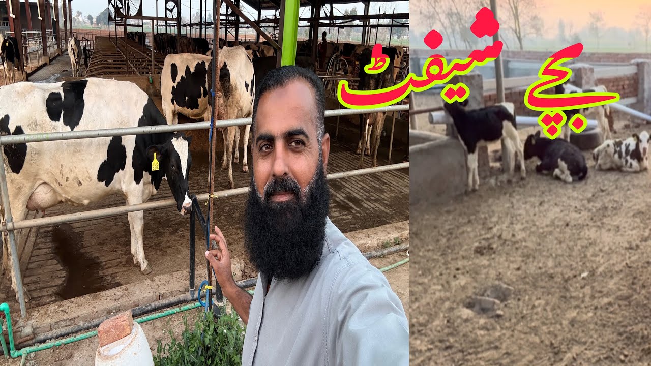 Aj Apnay Chotay Bachoon Ko Masha Allah Brray Faram Main Shift Ker Dia G