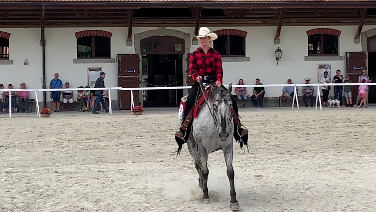 RWRA Avenches 2019, Walk Trot Ranch Riding 2. Rang