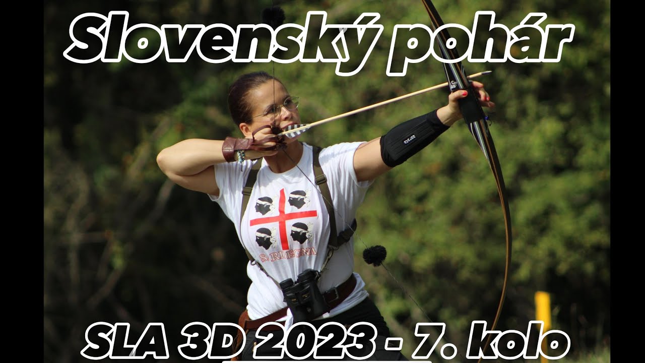 Slovenský pohár SLA 3D - 7 Kolo