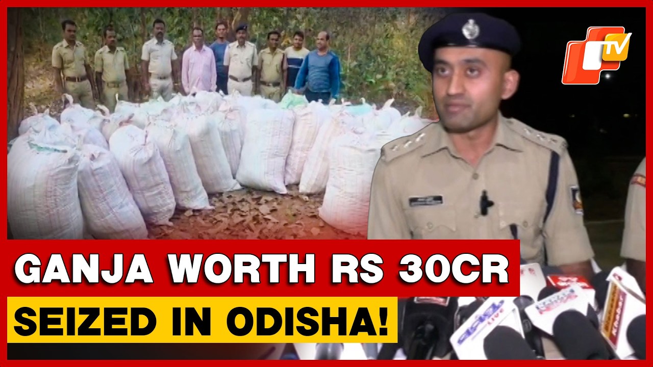Ganja Worth Rs 30cr Seized In Kandhamal As Odisha Police Enforce Zero-Tolerance Policy | Odisha