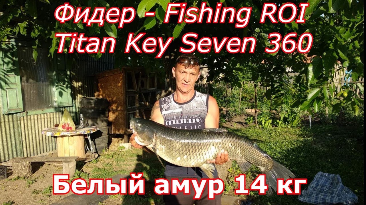 Рыбалка Белый амур на ФИДЕР  Fishing ROI Titan Key Seven 330. Рыбалка на белого амура флэт метод.