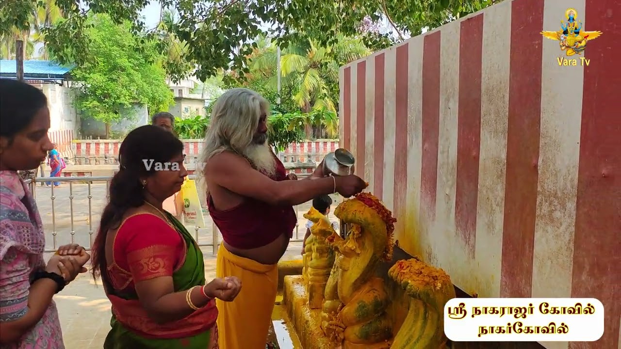 நாக தோஷ நிவாரணத்திற்கு சிறப்பு சர்ப பூஜை #varatv #varahi #VarahaGuruji #Tristhalam #nagercoil