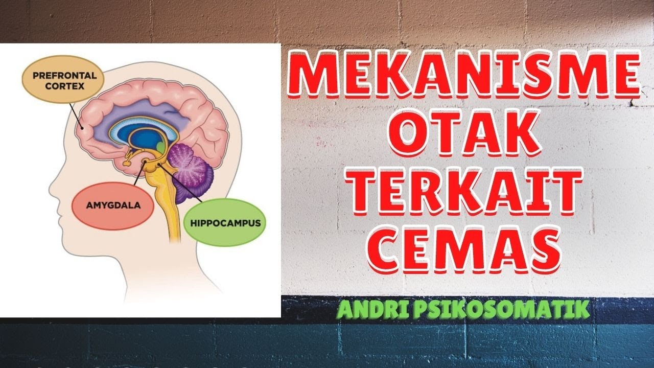 Memahami Mekanisme Otak Terkait Kecemasan