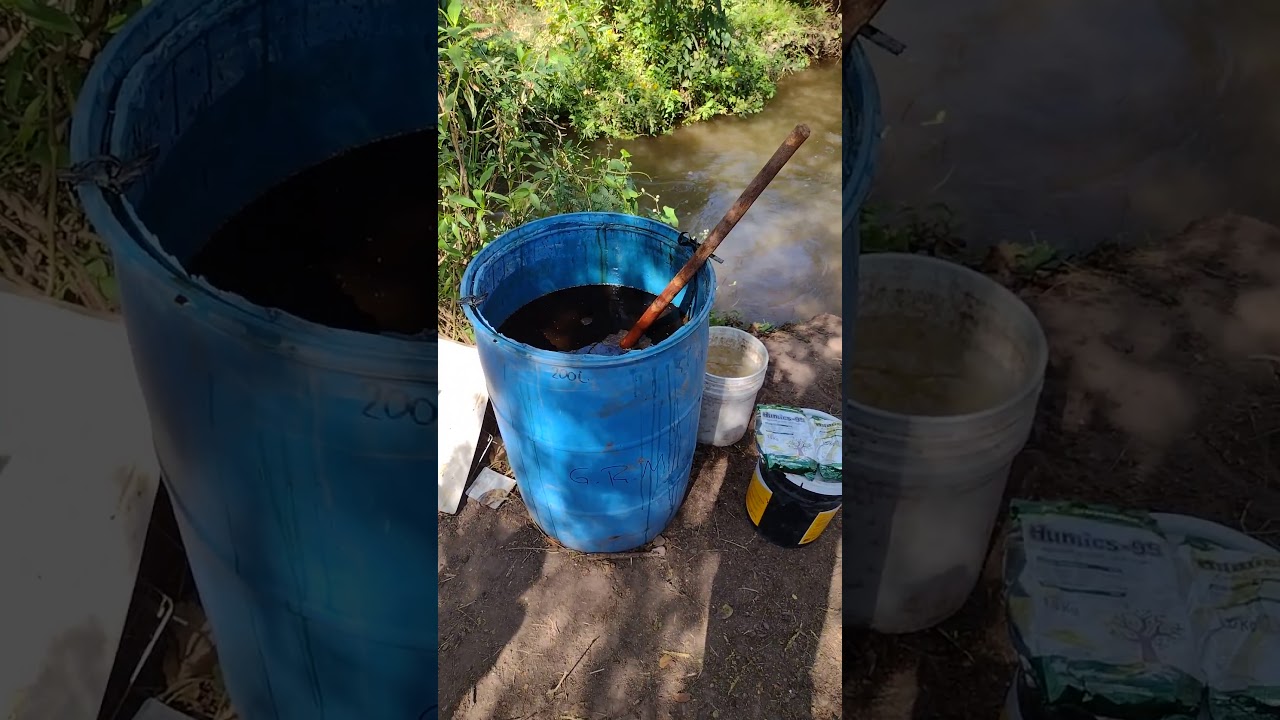 FERTILIZANTE ORG&Aacute;NICO a base de MELAZA DE CA&Ntilde;A