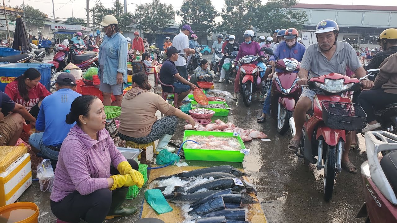 Chợ đầu mối bình điền 26 tết bà con mua quá nhiều cá biển 30k mưc nhỏ 60k cá trai 50k 