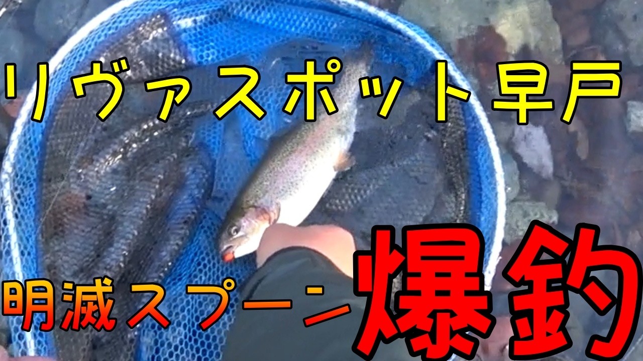 【リヴァスポット早戸】26/01/17　明滅系スプーンがハマって爆釣の予感？