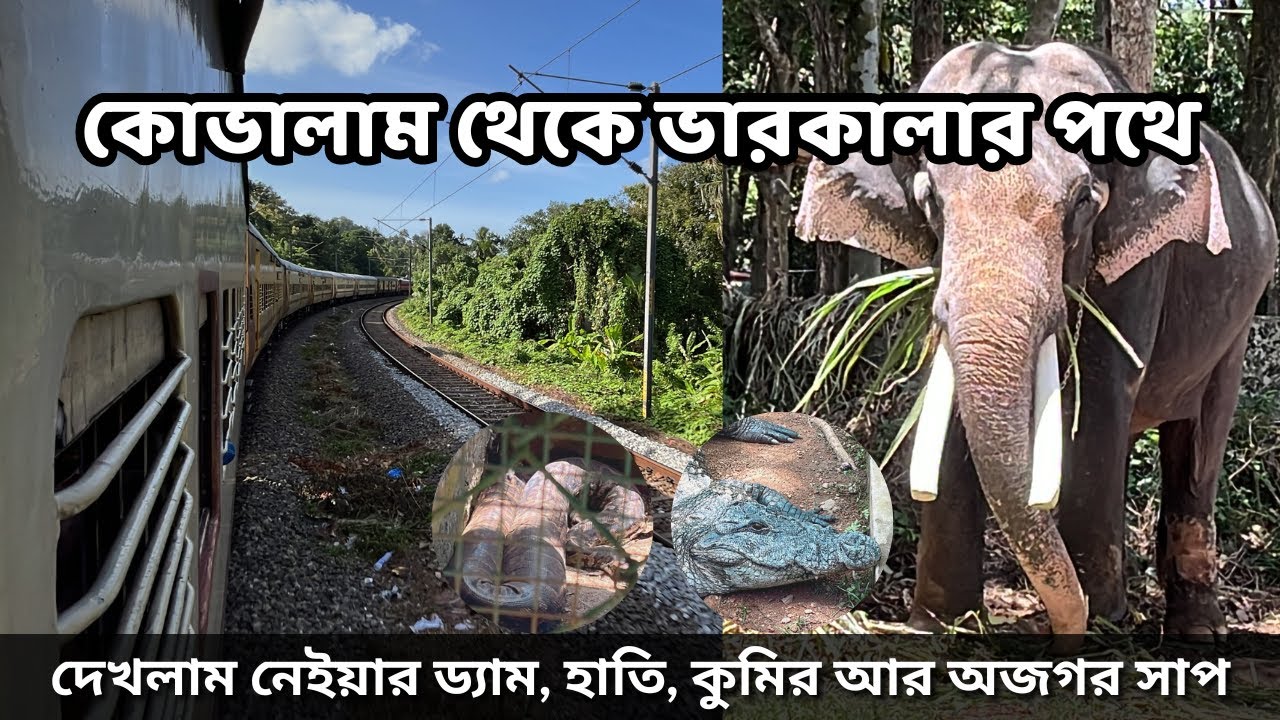 এত বড় অজগর প্রথম দেখলাম | Kovalam to Varkala Journey | Neyyar Dam | Elephant Park | Kerala Tour