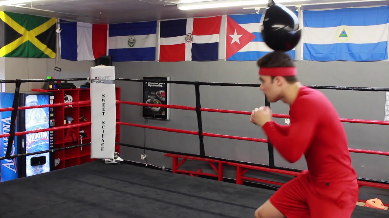 Beginner Head Movement Drills