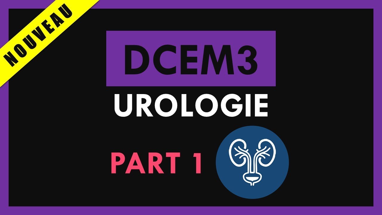 Urologie [Conf&eacute;rence] - DCEM3 - Part 1