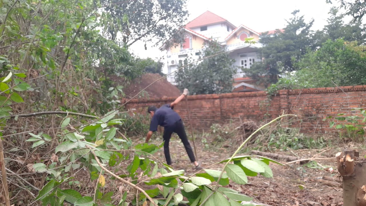 The route to cut trees to build high-class houses