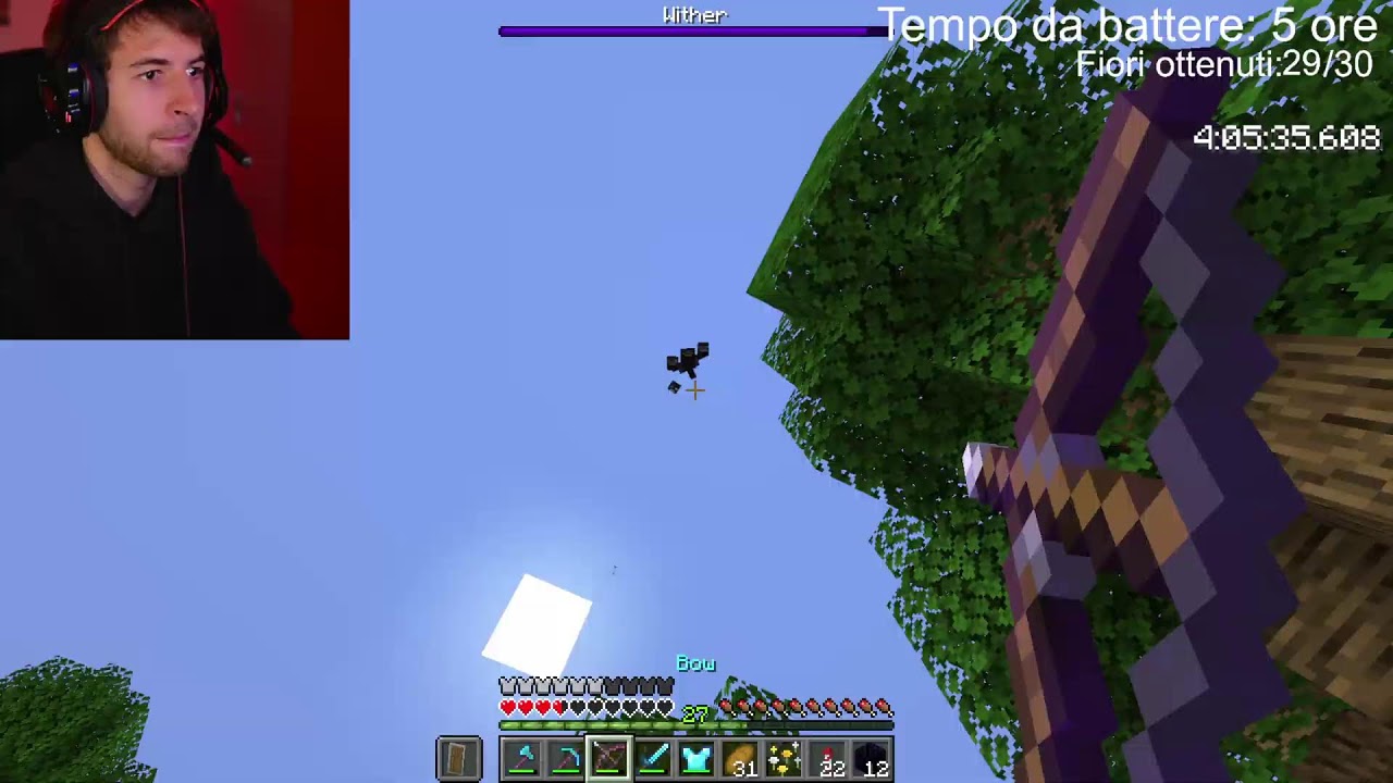 🔴Finisco la Speedrun di tutti i fiori di Minecraft!