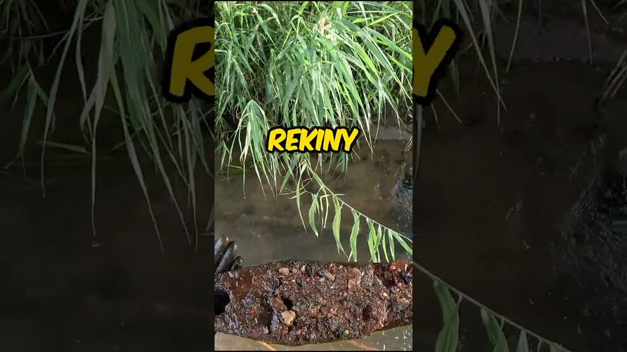 BLASZKA NA REKINY !? #magnes #magnesneodymowy #magnetarmagnets #magnet #rekin #shorts
