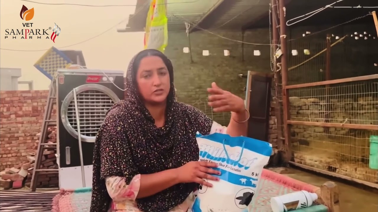  Dudh or Fat badhane ka shaktishali formula #min27 #cow #milkshot #viral #trending #milk 