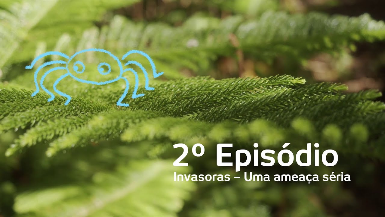 T1 Biodiversidade na Estrada | Invasoras - Uma amea&ccedil;a s&eacute;ria (2&ordm; epis&oacute;dio)
