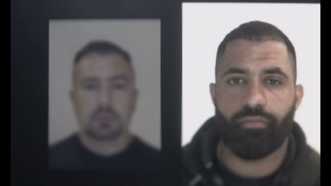 Den kurdiska räven historia och kriget med jordgubben del 2