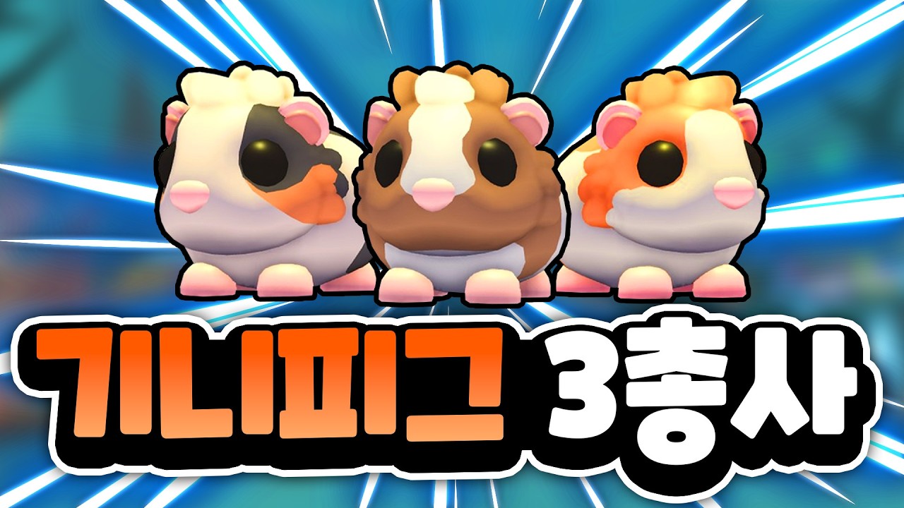 어드민 어뷰즈 깜짝 부활절 이벤트!