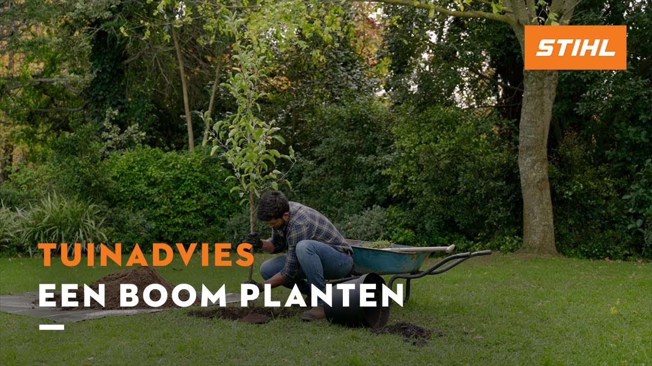 Een boom planten - STIHL Tuinadvies