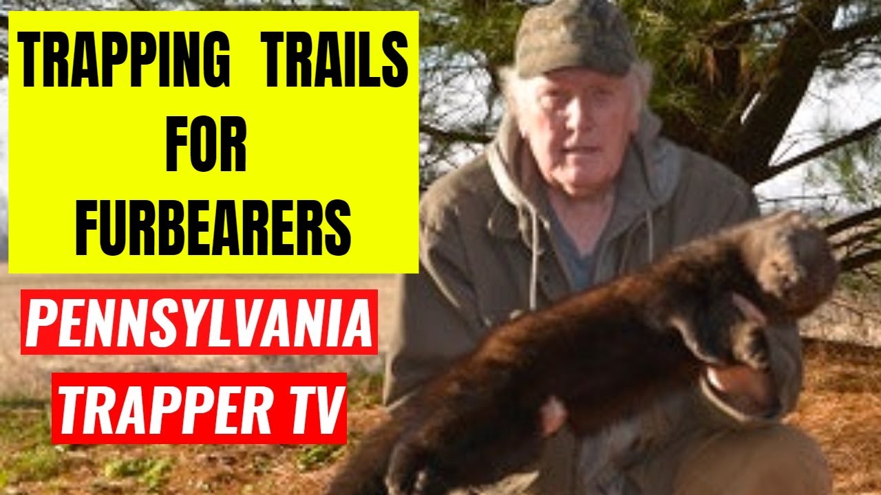 Trapping Trails For Furbearers