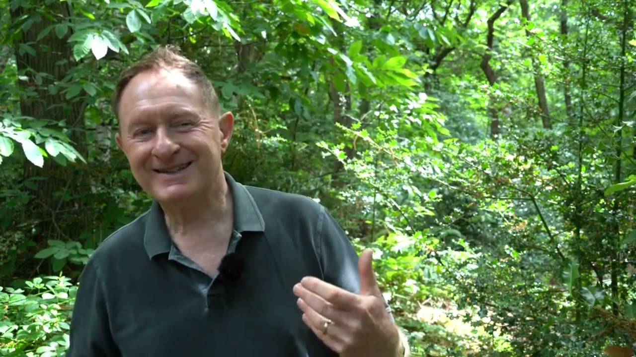 Aspects of Woodland Heritage: Ghosts and Shadows