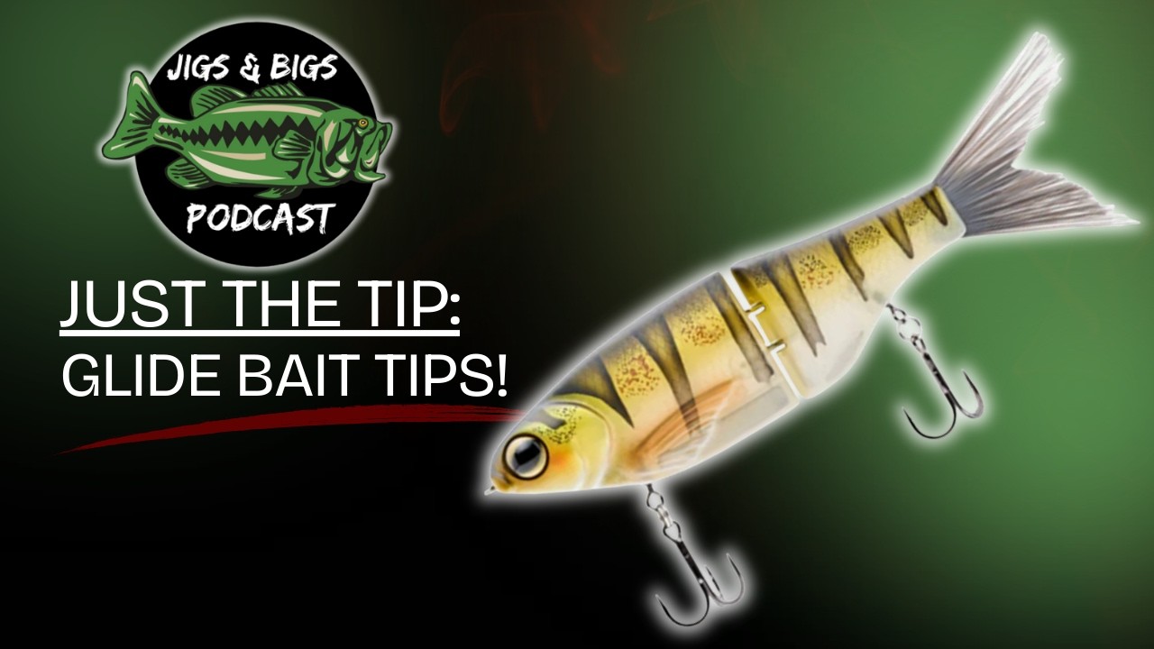 Just the Tip | Glide Baits